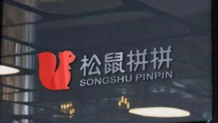 分析松鼠拼拼官方下载软件成功的原因