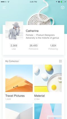 sns美官方下载,深入数据应用执行_PalmOS_v5.875