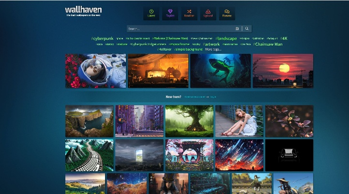 冷门宝藏软件推荐,海盗版本系列之精选五款