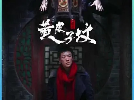 黄皮子坟手游同下载微信 官方信官方，揭秘一款宝藏级小众软件——定制版_v2.805